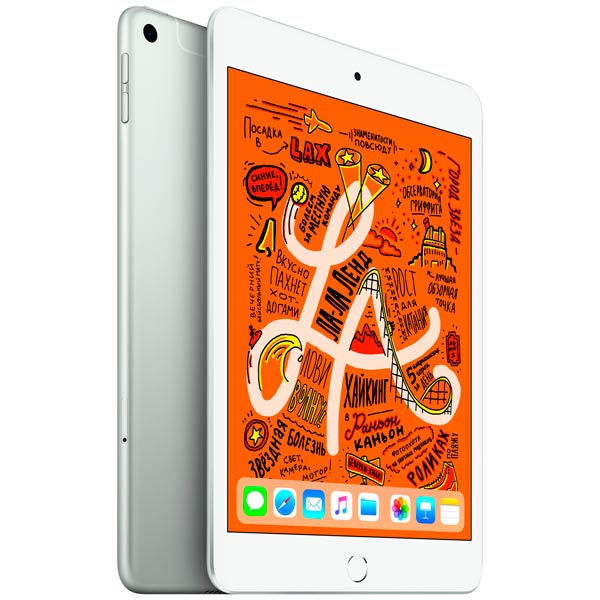 Apple iPad mini 7.9 Wi-Fi 256Gb